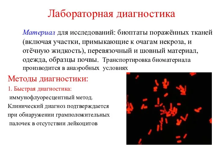 Лабораторная диагностика Материал для исследований: биоптаты поражённых тканей (включая участки, примыкающие к