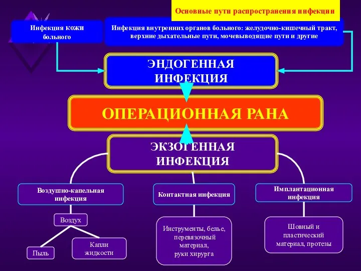 Инфекция кожи больного Инфекция внутренних органов больного: желудочно-кишечный тракт, верхние дыхательные пути,