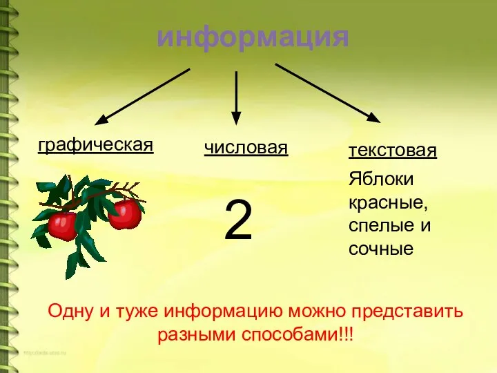 информация графическая текстовая числовая 2 Яблоки красные, спелые и сочные Одну и