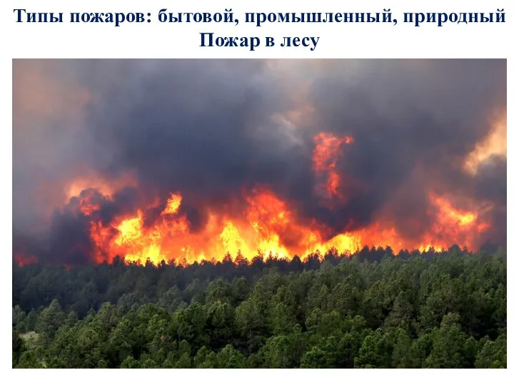 Типы пожаров: бытовой, промышленный, природный Пожар в лесу