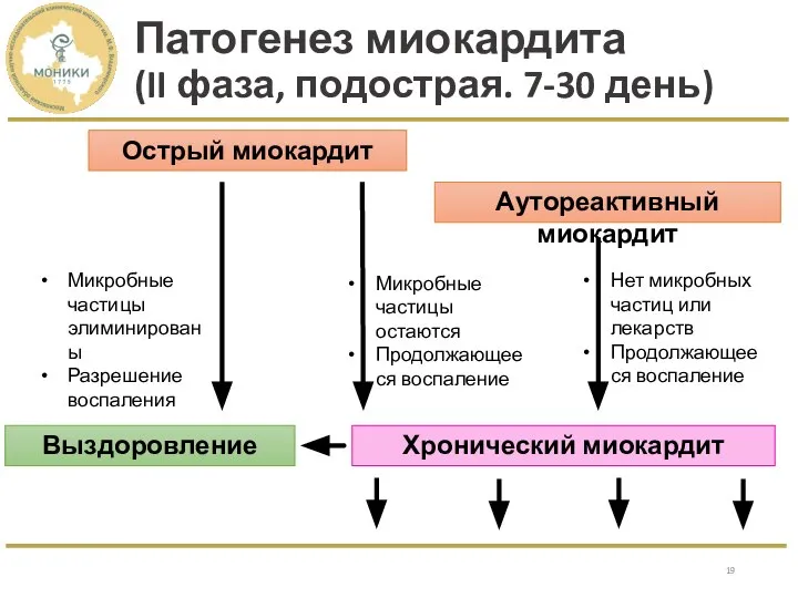 Патогенез миокардита (II фаза, подострая. 7-30 день) Острый миокардит Аутореактивный миокардит Выздоровление