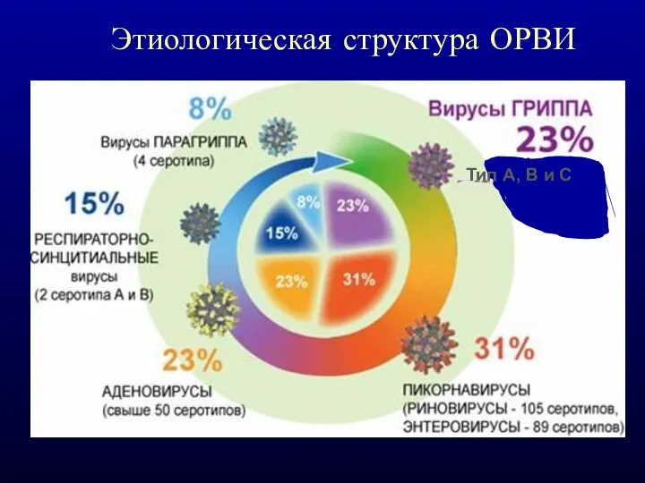 Этиологическая структура ОРВИ Тип А, В и С