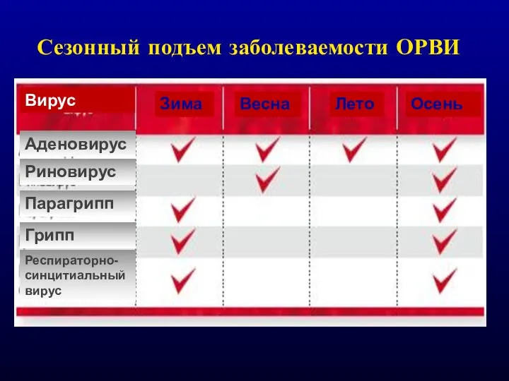 Сезонный подъем заболеваемости ОРВИ Аденовирус Риновирус Парагрипп Грипп Респираторно-синцитиальный вирус Вирус Зима Весна Лето Осень