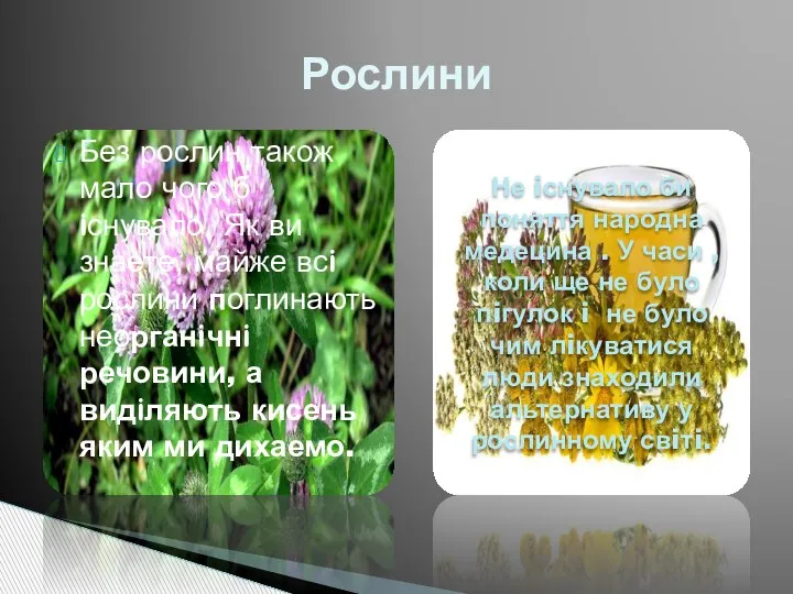 Без рослин також мало чого б iснувало. Як ви знаете, майже всi