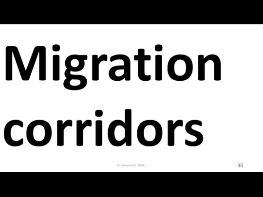 Timofeeva A.A. 2020 c Migration corridors