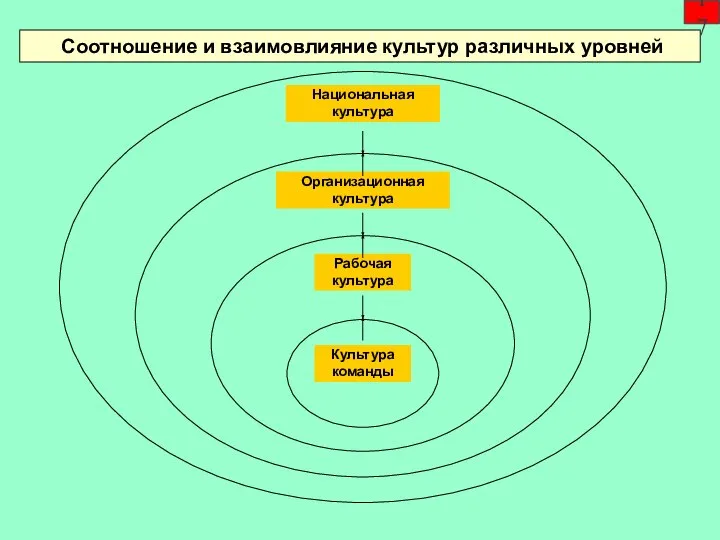 Соотношение и взаимовлияние культур различных уровней 17