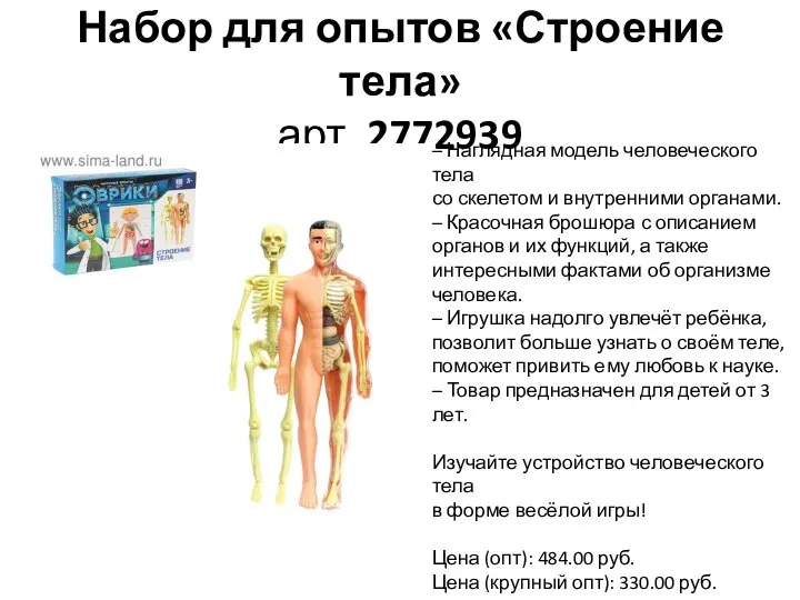 Набор для опытов «Строение тела» арт. 2772939 – Наглядная модель человеческого тела