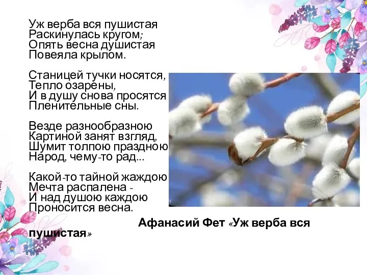 Уж верба вся пушистая Раскинулась кругом; Опять весна душистая Повеяла крылом. Станицей