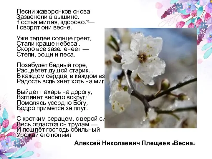 Песни жаворонков снова Зазвенели в вышине. "Гостья милая, здорово!"— Говорят они весне.