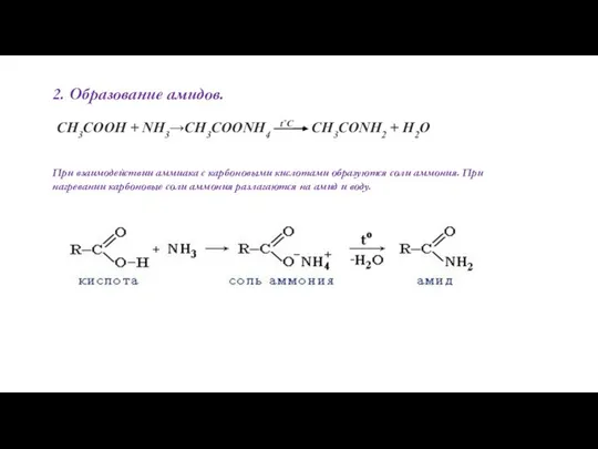 2. Образование амидов. CH3COOH + NH3→CH3COONH4 t˚C→ CH3CONH2 + H2O При взаимодействии