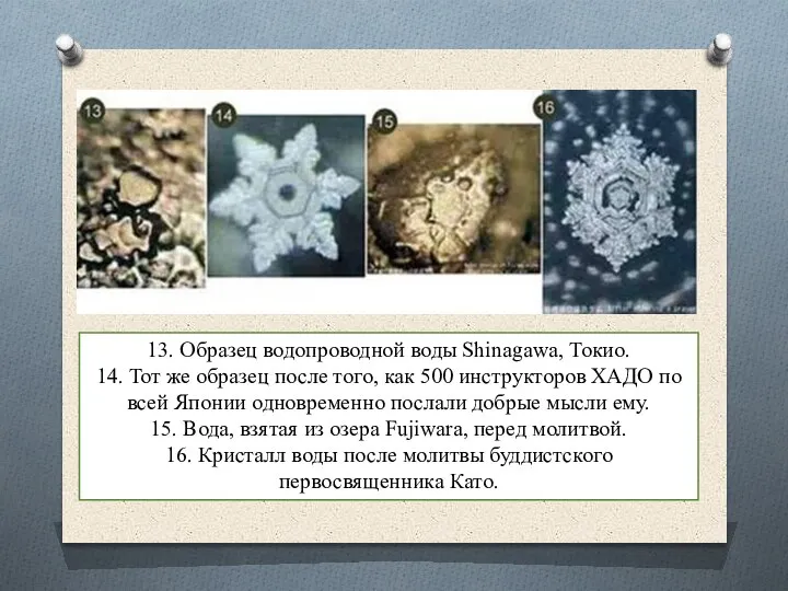 13. Образец водопроводной воды Shinagawa, Токио. 14. Тот же образец после того,