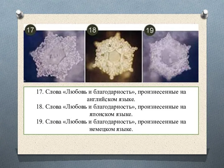 17. Слова «Любовь и благодарность», произнесенные на английском языке. 18. Слова «Любовь