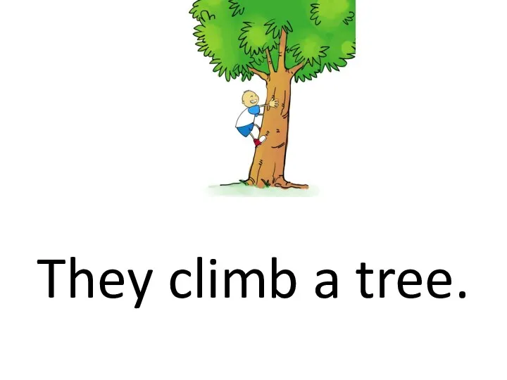 They climb a tree.