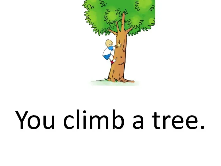 You climb a tree.