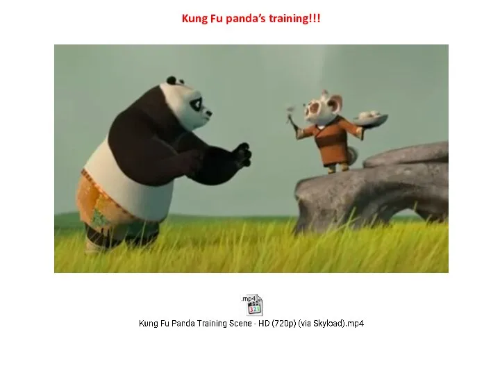 Kung Fu panda’s training!!!