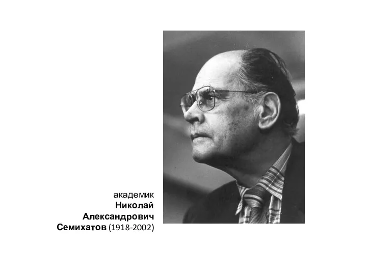 академик Николай Александрович Семихатов (1918-2002)