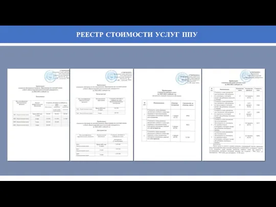 РЕЕСТР СТОИМОСТИ УСЛУГ ППУ