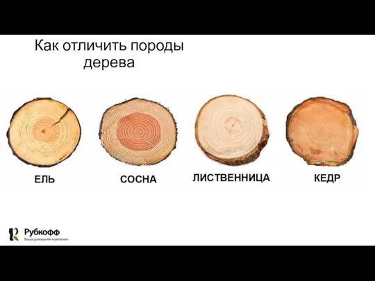 Как отличить породы дерева