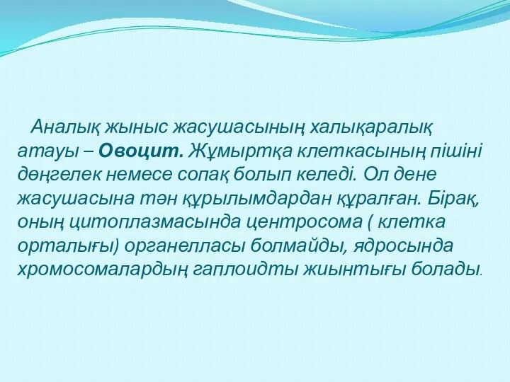 Аналық жыныс жасушасының халықаралық атауы – Овоцит. Жұмыртқа клеткасының пішіні дөңгелек немесе