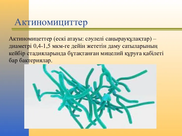 Актиномициттер Актиномицеттер (ескі атауы: сәулелі саңырауқұлақтар) – диаметрі 0,4-1,5 мкм-ге дейін жететін