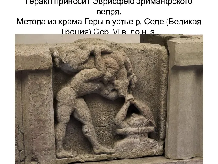 Геракл приносит Эврисфею эриманфского вепря. Метопа из храма Геры в устье р.