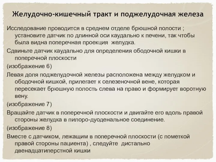 Желудочно-кишечный тракт и поджелудочная железа Исследование проводится в среднем отделе брюшной полости