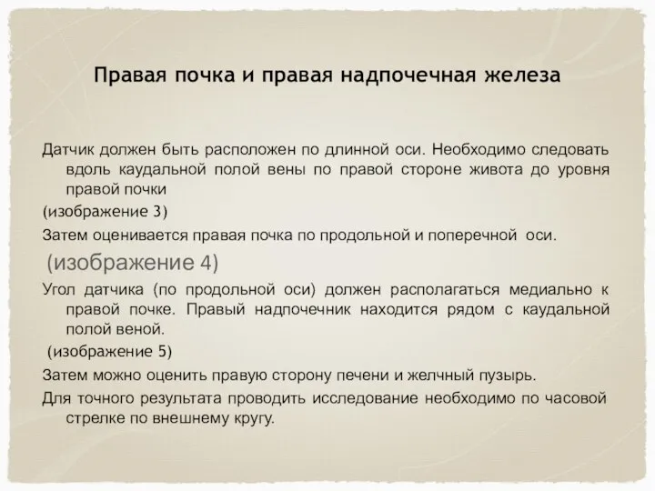 Правая почка и правая надпочечная железа Датчик должен быть расположен по длинной