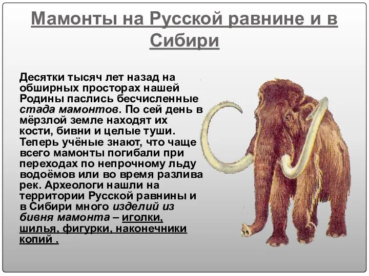 Мамонты на Русской равнине и в Сибири Десятки тысяч лет назад на