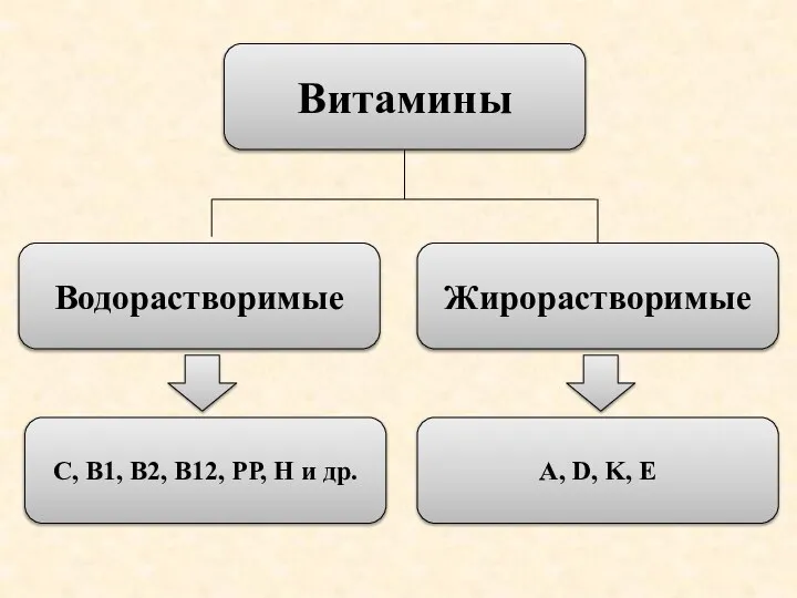 Витамины Водорастворимые Жирорастворимые С, В1, В2, В12, РР, Н и др. A, D, K, E