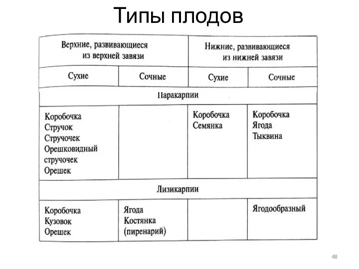 Типы плодов