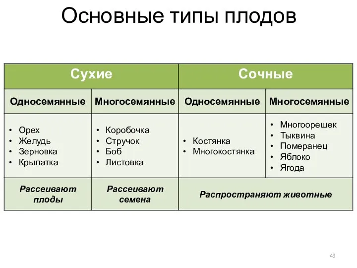 Основные типы плодов