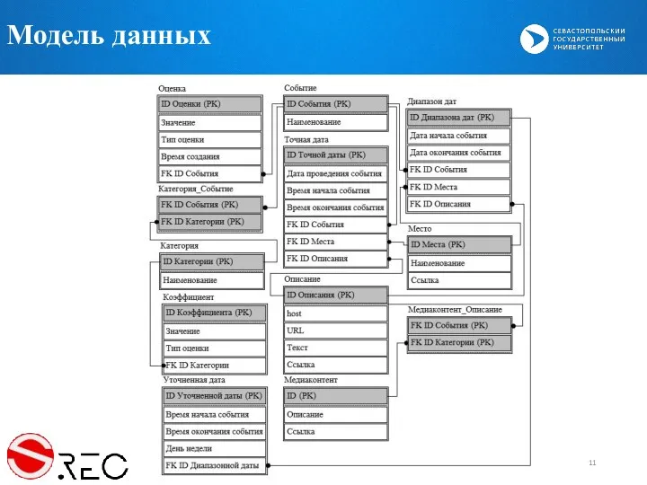 Модель данных Модель данных