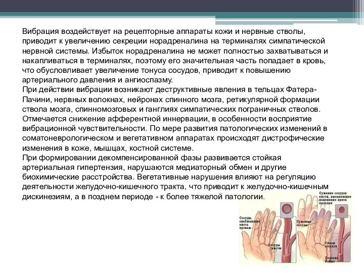 Вибрация воздействует на рецепторные аппараты кожи и нервные стволы, приводит к увеличению