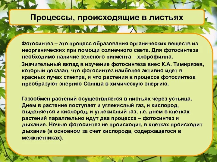 Процессы, происходящие в листьях Фотосинтез – это процесс образования органических веществ из