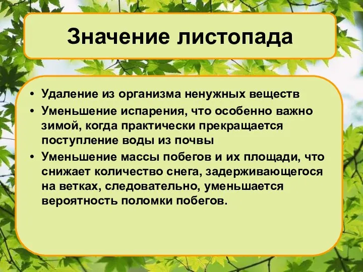 Внутреннее строение Значение листопада Удаление из организма ненужных веществ Уменьшение испарения, что