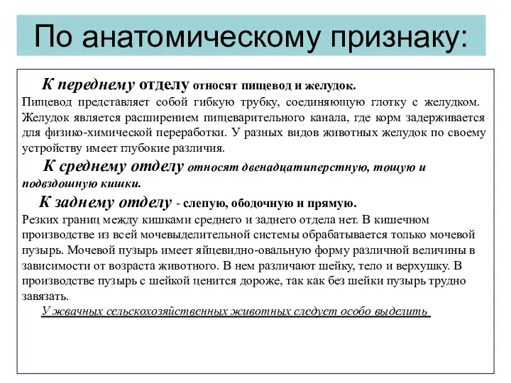 По анатомическому признаку: К переднему отделу относят пищевод и желудок. Пищевод представляет