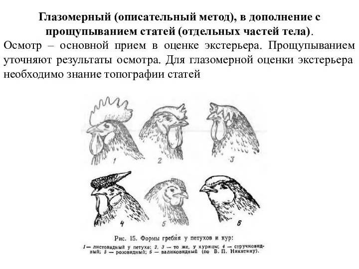 Глазомерный (описательный метод), в дополнение с прощупыванием статей (отдельных частей тела). Осмотр