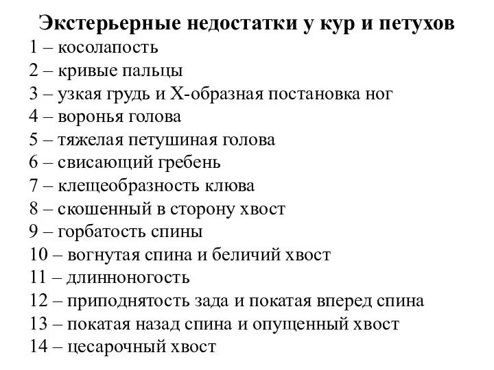 Экстерьерные недостатки у кур и петухов 1 – косолапость 2 – кривые