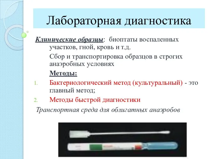 Лабораторная диагностика Клинические образцы: биоптаты воспаленных участков, гной, кровь и т.д. Сбор