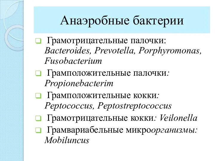 Анаэробные бактерии Грамотрицательные палочки: Bacteroides, Prevotella, Porphyromonas, Fusobacterium Грамположительные палочки: Propionebacterim Грамположительные