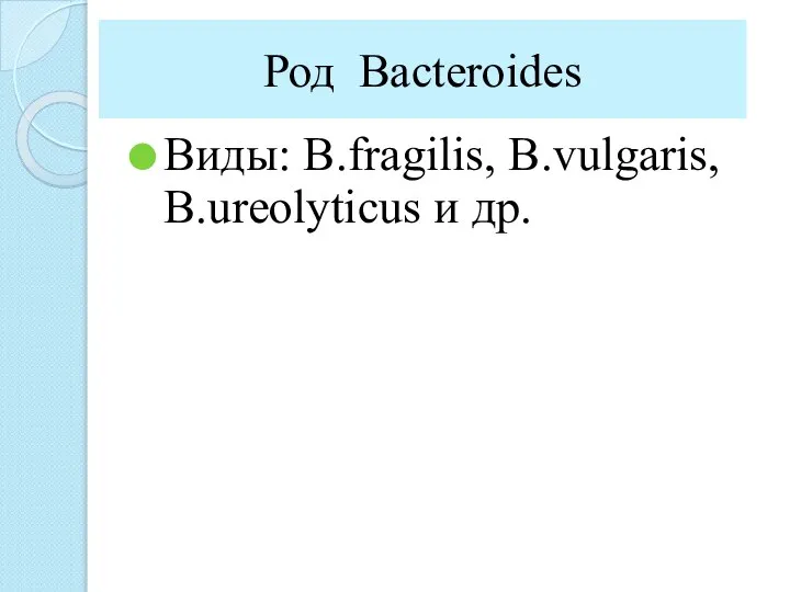 Род Bacteroides Виды: B.fragilis, B.vulgaris, B.ureolyticus и др.