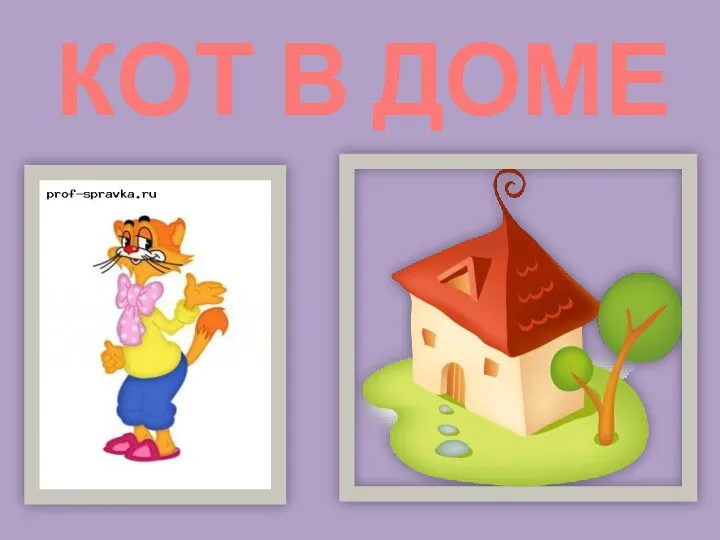 КОТ В ДОМЕ