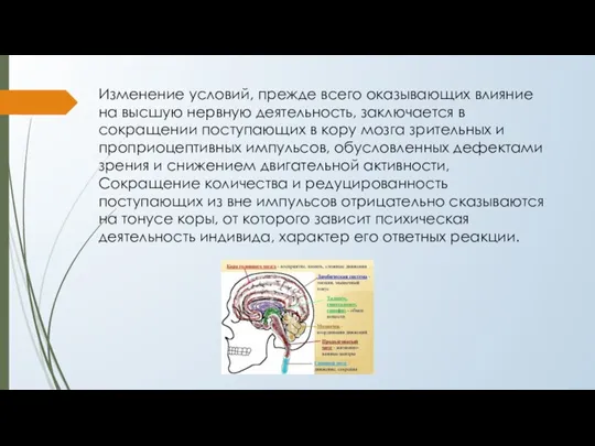 Изменение условий, прежде всего оказывающих влияние на высшую нервную деятельность, заключается в