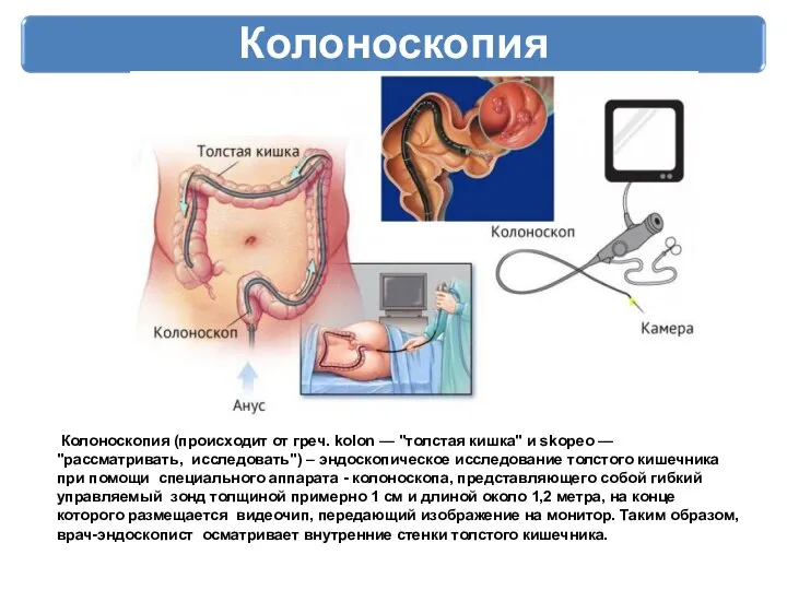 Колоноскопия Колоноскопия (происходит от греч. kolon — "толстая кишка" и skopeo —