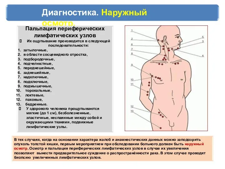 Диагностика. Наружный осмотр. Пальпация периферических лимфатических узлов Их ощупывание производится в следующей