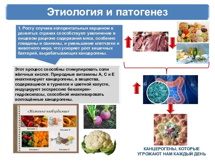 Этиология и патогенез 1. Росту случаев колоректальных карцином в развитых странах способствуют