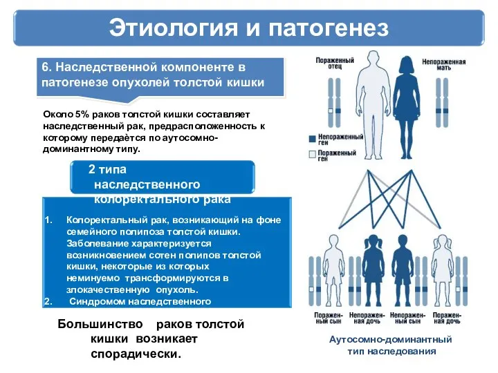 Этиология и патогенез 6. Наследственной компоненте в патогенезе опухолей толстой кишки Аутосомно-доминантный