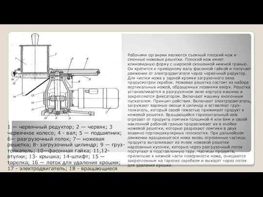 МРОВ-160 1 — червячный редуктор; 2 — червяк; 3 червячное колесо; 4