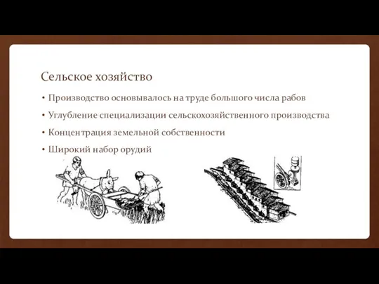 Сельское хозяйство Производство основывалось на труде большого числа рабов Углубление специализации сельскохозяйственного