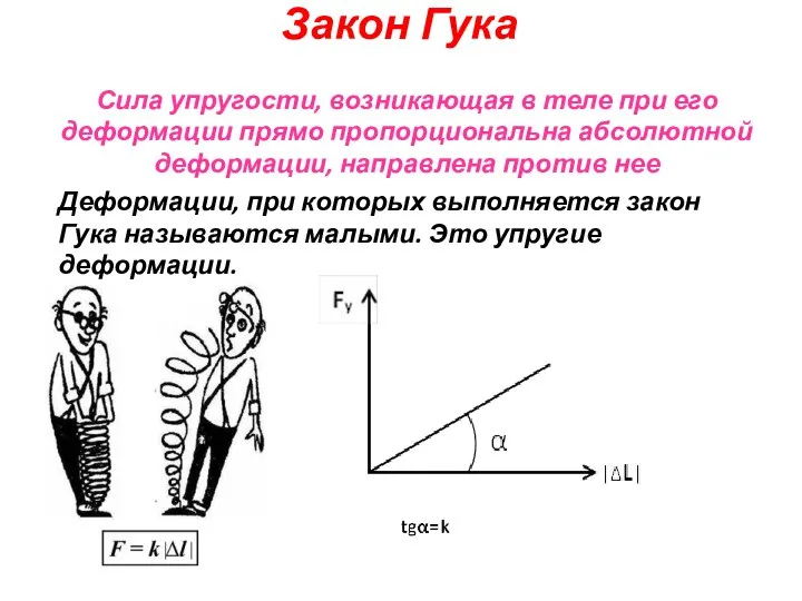 Сила упругости, возникающая в теле при его деформации прямо пропорциональна абсолютной деформации,